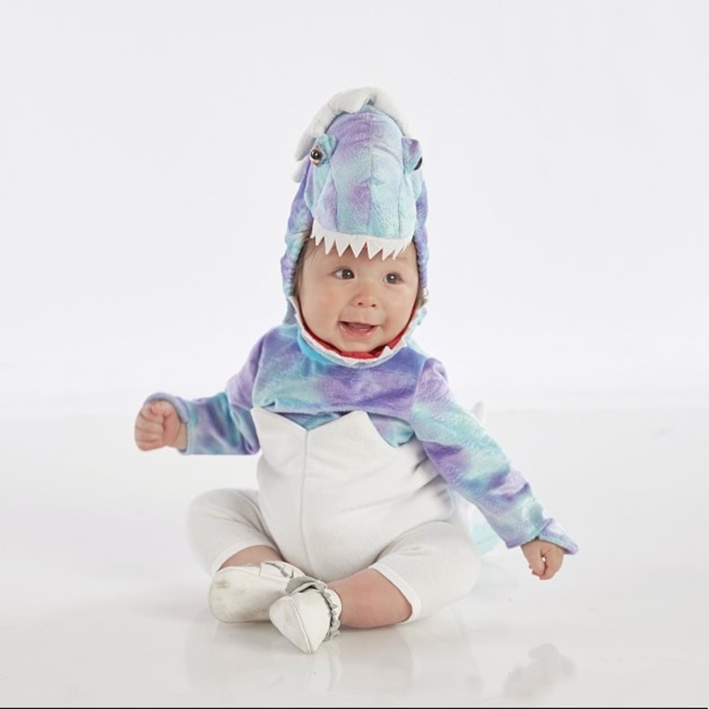 Pottery Barn Kids Baby Dinosaur Costume